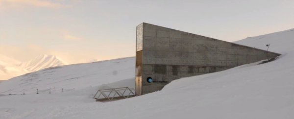 WATCH: Take a tour inside Svalbard's frozen 'doomsday' seed vault