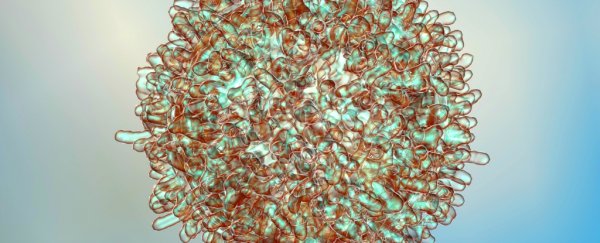 Scientists report "unprecedented" success using T-cells to treat cancer