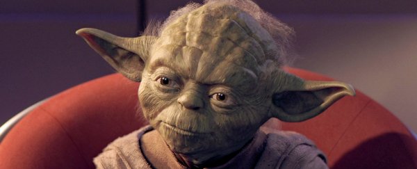 A physicist has calculated how much Yoda weighs