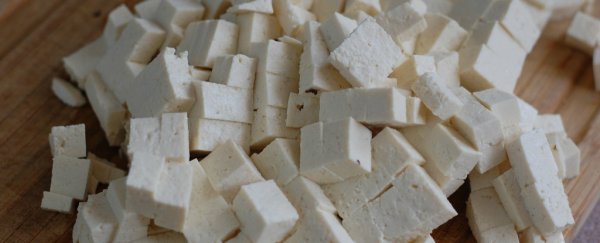Tofu is providing clean energy to residents in Indonesia