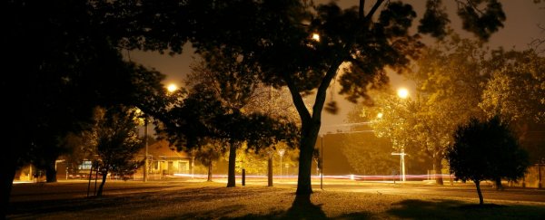Light pollution might be making spring start a week early, scientists find