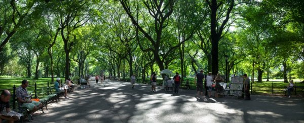 Living near more trees could make you as feel as good as a $10,000 raise