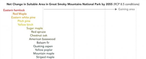 These are the trees NASA predicts will get hit hardest by climate change