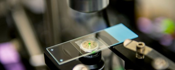 Scientists use a laser to cool liquid things down for first time ever