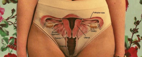 Does the 'G-spot' really exist?