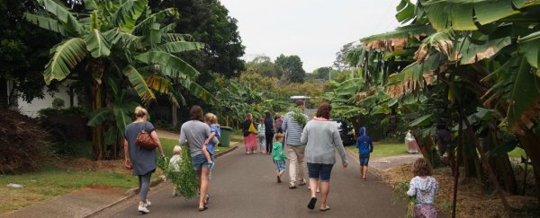 Welcome to the street that grows its own food