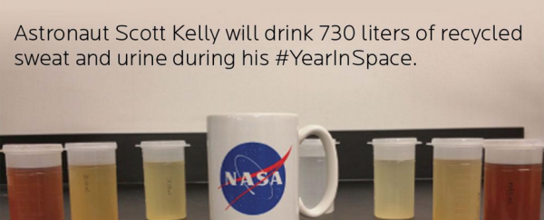Astronaut Scott Kelly will drink 730 litres of his own sweat and urine during his year in space
