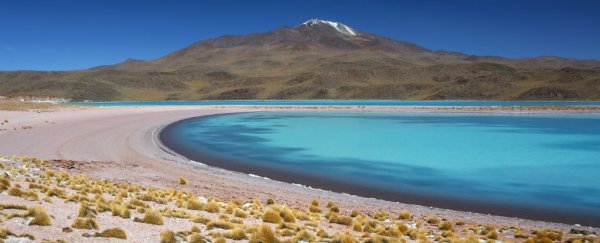Scientists have found a massive dome growing on top of the world's largest active magma store