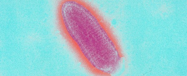Viruses ARE alive, and they’re older than modern cells, new study suggests