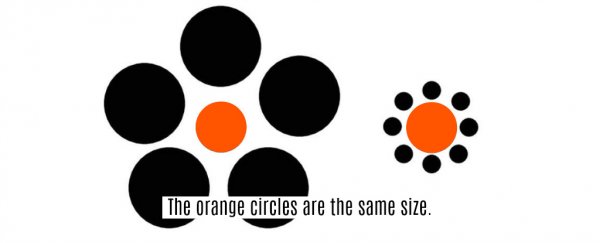 There's an important similarity between how honeybees and humans see optical illusions