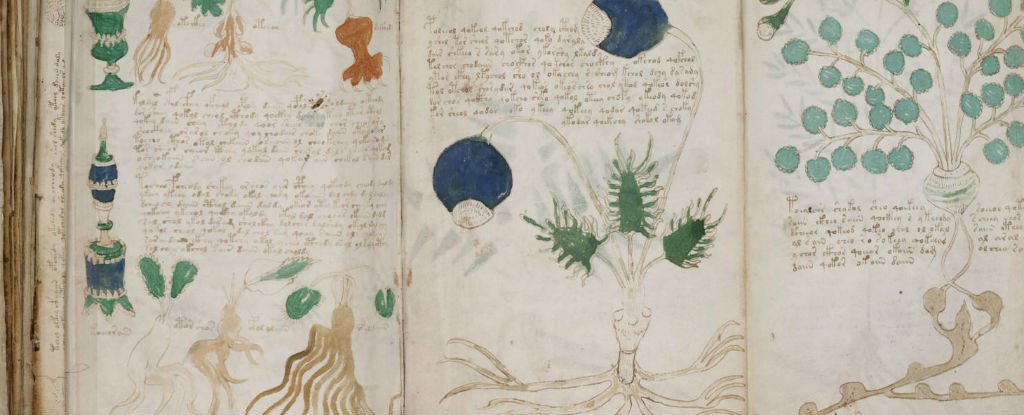 Voynich Manuscript 1024