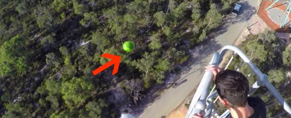 WATCH: This crazy spray-on coating makes a watermelon indestructible