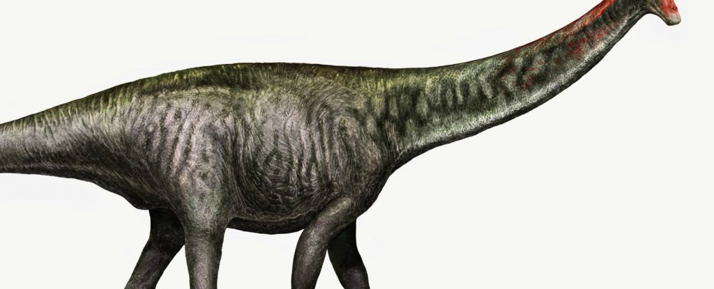 The Brontosaurus Is Officially a Dinosaur Again : ScienceAlert