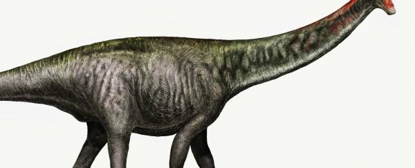 The brontosaurus is officially a dinosaur again