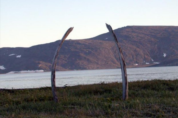 Welcome to Whale Bone Alley - Siberia's Eerie Answer to Stonehenge