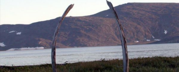 Welcome to Whale Bone Alley - Siberia’s eerie answer to Stonehenge