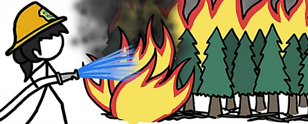 Watch: How fighting wildfires actually makes them worse