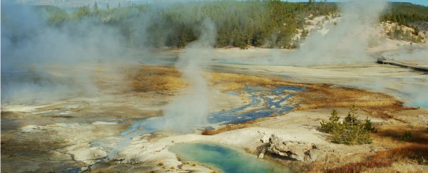 A man has been dissolved in acid after trying to 'hot pot' in Yellowstone National Park