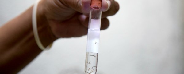 The US is investigating 14 more cases of sexually transmitted Zika virus