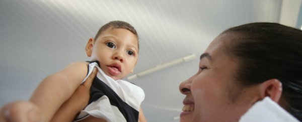 Zika used to be a mild infection. Here's how it became so devastating