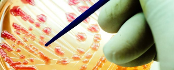This new strategy could be the key to overcoming antibiotic resistance