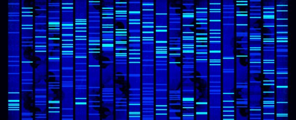 Scientists have identified the genes responsible for ageing and a longer lifespan