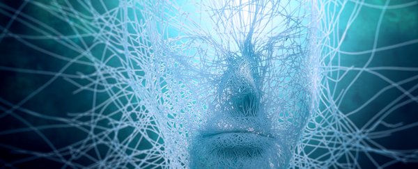 Google researchers are teaching their AI to build its own, more powerful AI