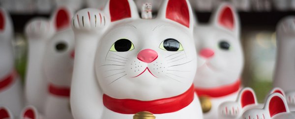 Mind-altering cat parasite just got linked to a whole lot of neurological disorders