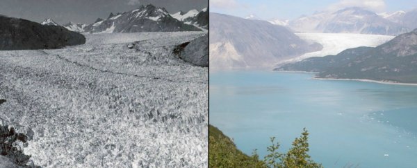 A group of scientists says we have three years to save the planet from irreversible destruction
