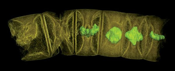 This discovery might have just pushed back the evolution of complex life by 400 million years