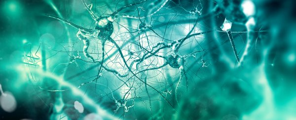 Brains with Alzheimer's have more bacteria than healthy ones, says new study