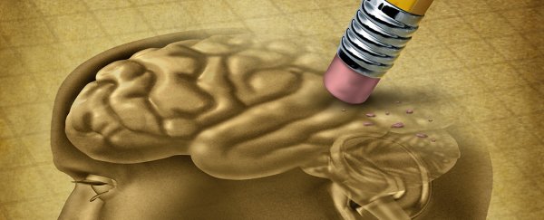 Reversing memory loss in Alzheimer's closer with discovery of new protein target