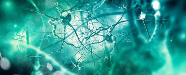 Alzheimer's could actually start elsewhere in the body and not the brain, says study