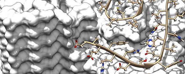This is the closest look we've ever had at the proteins linked to Alzheimer's disease