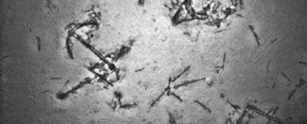 Search for missing flight MH370 uncovers a shipwreck near west Australia