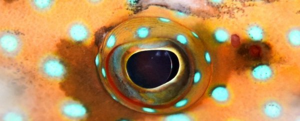 We are entering a new era of colour science and researchers are buzzing