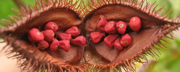 Researchers discover a natural food additive that blocks skin cancer cells