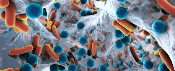 Evidence suggests early exposure to antibiotics might lead to long-term behavioural changes