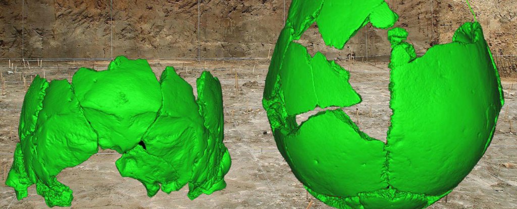 Ancient Skulls Found in China Could Belong to an Unknown Human Species ...