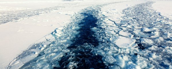A weather buoy near the North Pole just hit melting point