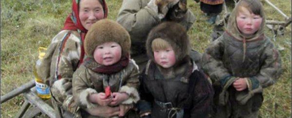 The first signs of obesity in certain Arctic groups have been linked to instant noodles