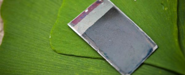 New altered bacteria can convert sunlight into liquid fuel