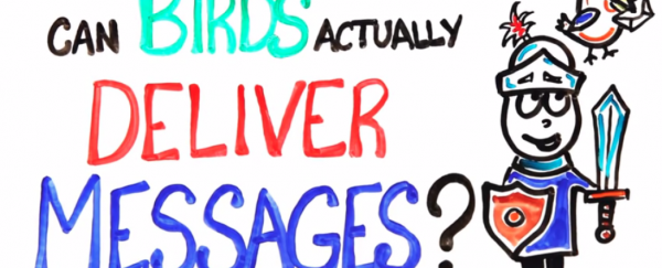 WATCH: Can birds *really* send messages?