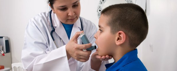 Scientists find possible cause of asthma, and how to prevent an attack