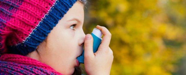 Bitter compounds could be the future of preventing and treating asthma