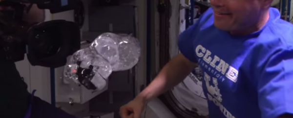 WATCH: Astronauts grow a water orb in space and stick a camera inside