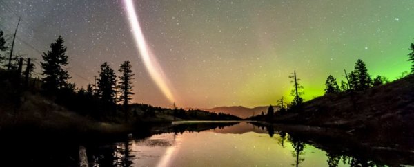 Introducing Steve - a newly discovered astronomical phenomenon