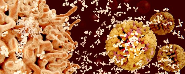 Researchers have finally uncovered a key mechanism behind devastating autoimmune diseases