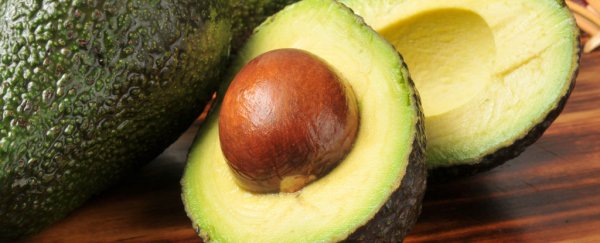 Controversial report suggests governments are recommending foods that make us obese