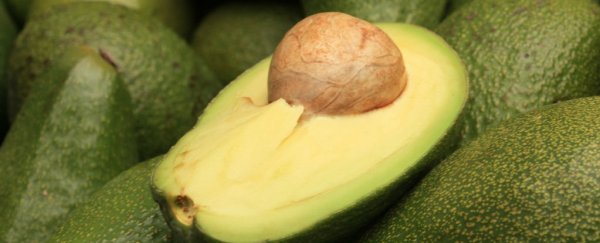 Watch: Why avocados are the most awesome fruit, according to science